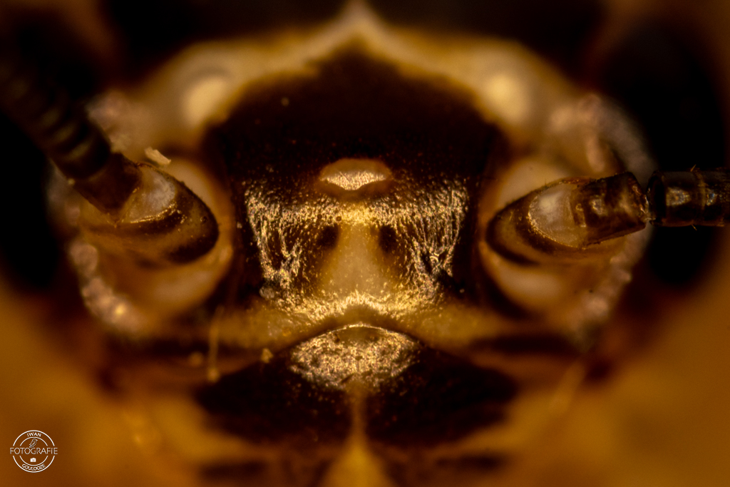 26 september 2022 112357 1R2A3887